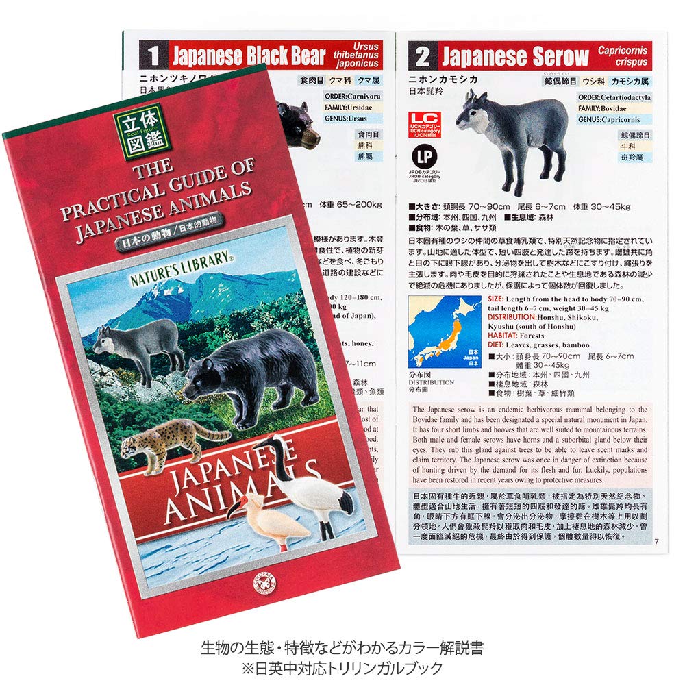 COLORATA Japanese Animal Figure 3D Picture Book Animals 12 Types Instruction Manual Realistic Figure Box Toy Educational Toy Present Gift Food