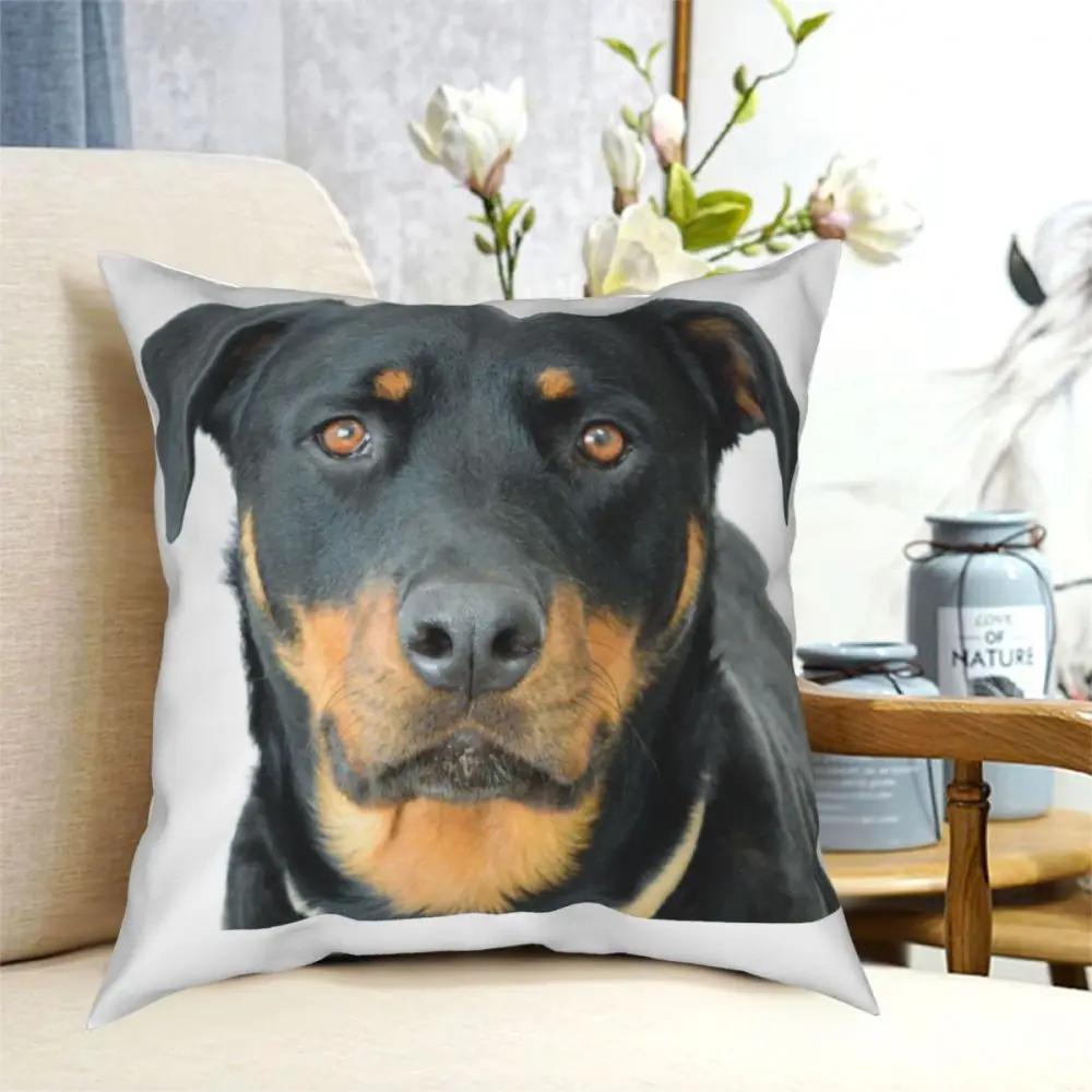 Cute Realistic Rottweiler Dog Square Pillow Case Polyester Cushions for Sofa Funny Cushion Covers