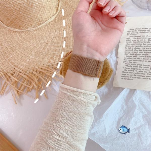 Bertpol Bungeobbang Wallet