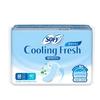 Cooling Fresh Panty Liner Long 40pcs Breathable Cooling Daily Feminine Care Liners