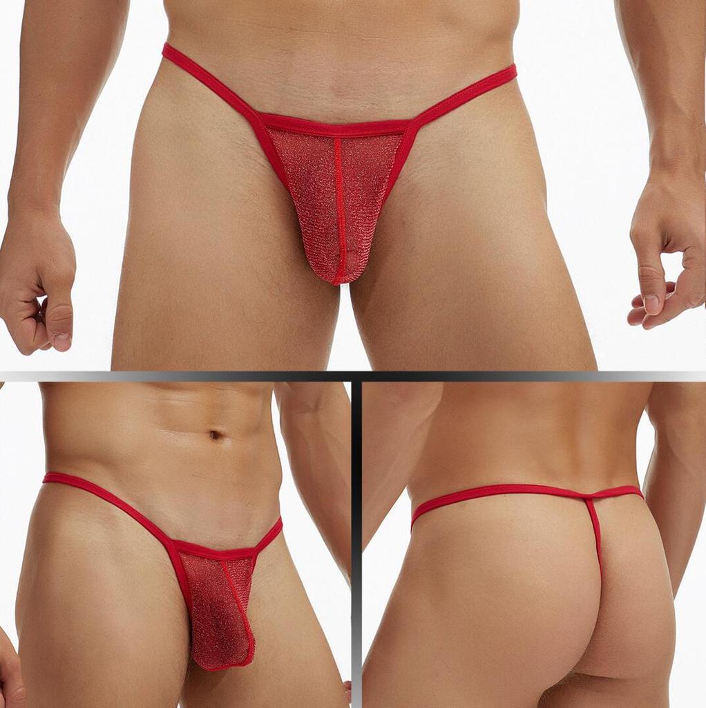 European and American Men's Fine Mesh See-through T-Back Thong Underwear, Plus Size E080