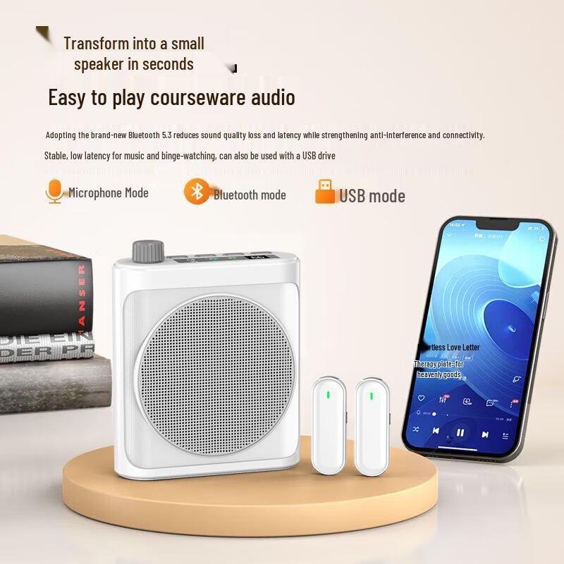 Hao Mu Ren Portable Wireless Amplifier with Dual Lavalier Microphones CN plug (adapter included)