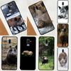 Wild Boar Pig Brown Case For Samsung Galaxy J8 A7 A9 A6 A8 2018 A3 A5 J1 2016 J3 J5 J7 2017 J6 J4 Plus Coque