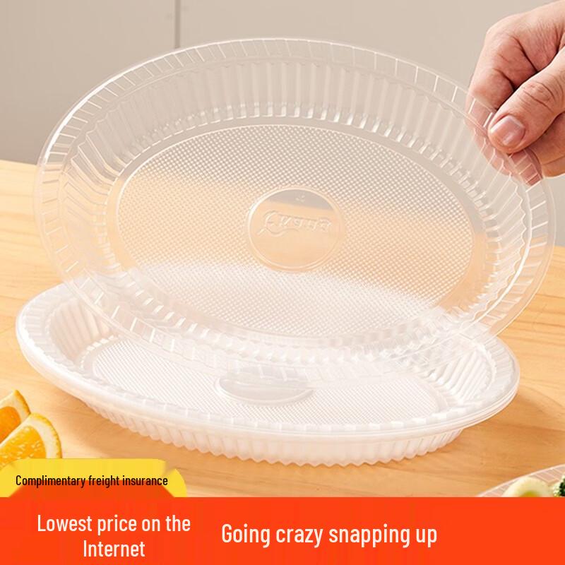 ZISIZ Transparent Disposable Plastic Plates