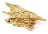 Don Flyee Replica Navy SEALs Pin Badge with Military Butterfly C0008 Clutch, Alloy,
