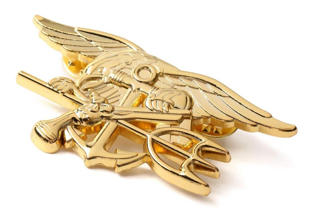 Don Flyee Replica Navy SEALs Pin Badge with Military Butterfly C0008 Clutch, Alloy,