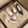 Pointed Head Shallow Mouth Thick Heel High Heels Women's Autumn New Two Wear Professional Work Banquet Women's Single Shoes