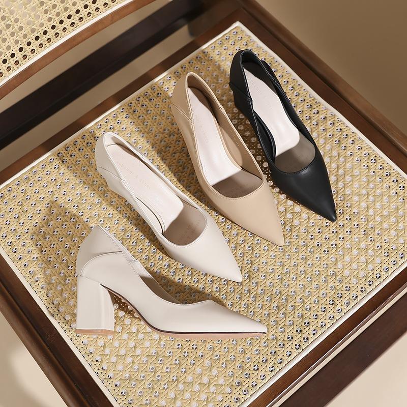 Pointed Head Shallow Mouth Thick Heel High Heels Women's Autumn New Two Wear Professional Work Banquet Women's Single Shoes