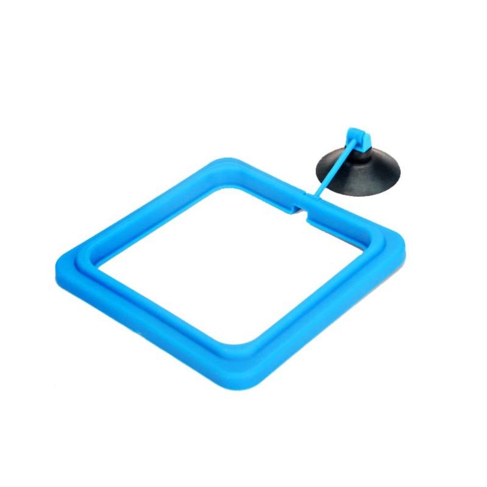 5Pcs With Suction Cup Fish Feeding Ring Aquarium Accessories Fixed-point Feeding Fish Feeding Circle Durable Portable