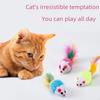 Feather Cat Toy Stick with Mint Ball and Colorful Mouse - Self-entertainment Cat Toy Supply