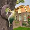 Simulierte Vogelstatue Harz Vögel Späher Figur Skulptur für Baum Wand Garten Außendekor