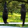 Simulatie Kraai Beeld Levensgroot Realistisch Kraai Beeld Decoratieve Halloween Dier Vogel Beeldje Voor Portiek Tuin Buiten