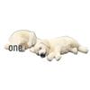 Resin Sleeping Golden Retriever Figurine Set - Cute and Realistic Dog Ornaments for Car or Desktop