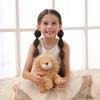 Apricot Lamb Yellow Lion Plush Toy, Soft and Cute, Fluffy Yellow Lion, 30cm, Suitable for Boys and Girls