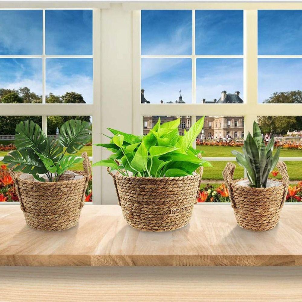 

Hand Woven Storage Basket Retro Succulent Pot Durable Flower Baskets 20x13cm