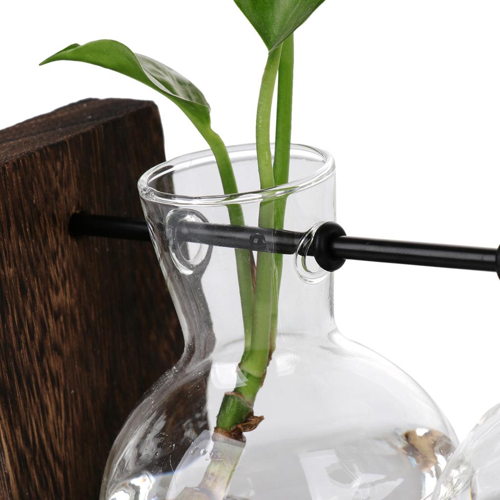 Hydroponic Vase Simple Decorative Glass Flower Vase Plant Terrarium with Wooden Stand