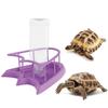 Reptile Drinking Fountain Easy To Clean Detachable Smooth Edges Wear-resistant Space Saving Feed Water Convenient Reptile Water Drinker Dispenser for