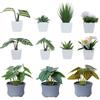 3/6PCS Set New DIY Artificial Potted Plant Mini Plastic Artificial Flower Bonsai Tabletop Landscape Home Display