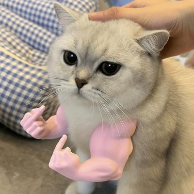Kedi – Kedi Oyuncakları