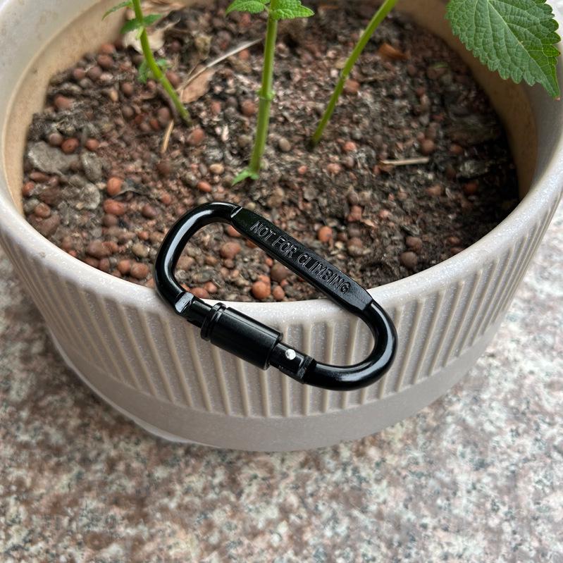 High-Quality Multi-Functional Aluminum Alloy D-Shaped Mountaineering Buckle