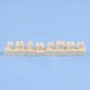 8PCS 8Pcs/Kit Dental Posterior Student Training Test Model Practice Composite Resin Filling Teeth Jaw Dentistry Equipment