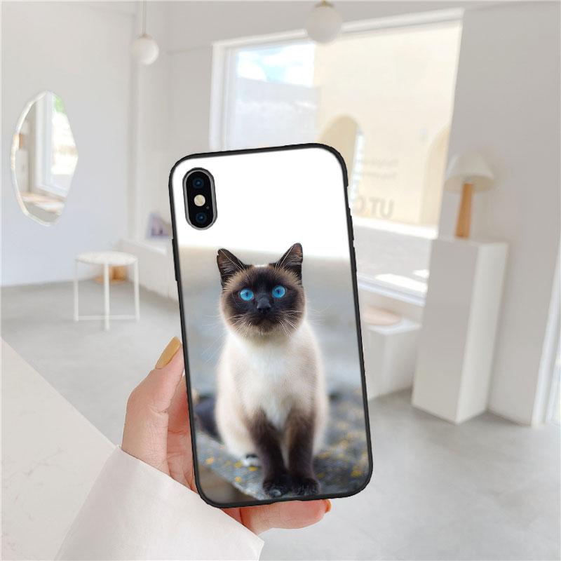 

PP22 Cute Siamese Cat Soft Shell Phone Case for iPhone SE X XS XR 11 16E 17 Pro Max Air 8 7 6 6s Plus iPhone 11 Pro