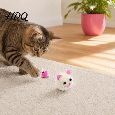 Katzen – Katzenspielzeug