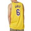 Nike Nba Los Angeles Lakers LeBron James Icon Edition Jersey DN2009-728
