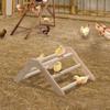 Postes de Madera de Pie para Pollitos Antideslizantes Divertidos Percha para Dormir en Criadora Anti Rotación Marcos de Percha para Pollos Gallinas Loros Pájaros