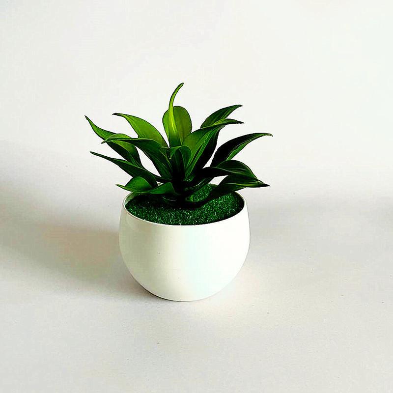 Artificial Sinocrassula Indica Potted Plant Succulent Plant For Home Decor