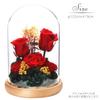 TEATSIGHT Preserved Flower Arrangement, Pre-Wrapped, Glass Pot, 5 Flowers (Red Roses)
