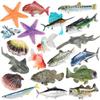 Simulated Plastic Fish Models Realistic Bass Fake Fish for Home Decoration and Science Exhibits