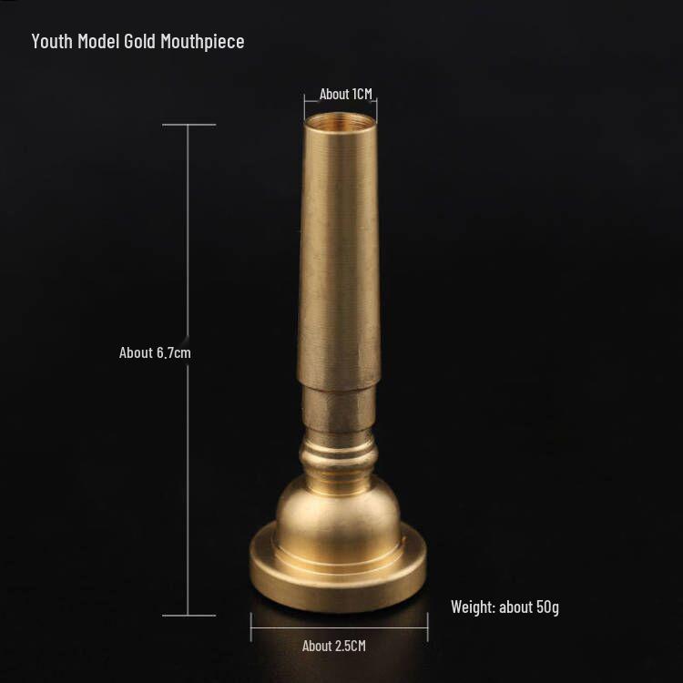 Золотые и серебряные мундштуки для трубы: 3C, 5C, 7C – Аксессуары для медных духовых инструментов