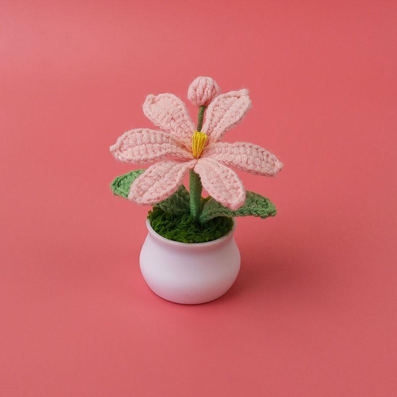 Hand-Knitted Wool Fake Flowers Set: Sunflower, Carnation, Tulip - Desktop Decor, Teacher/Student Gift, Everlasting Bouquet