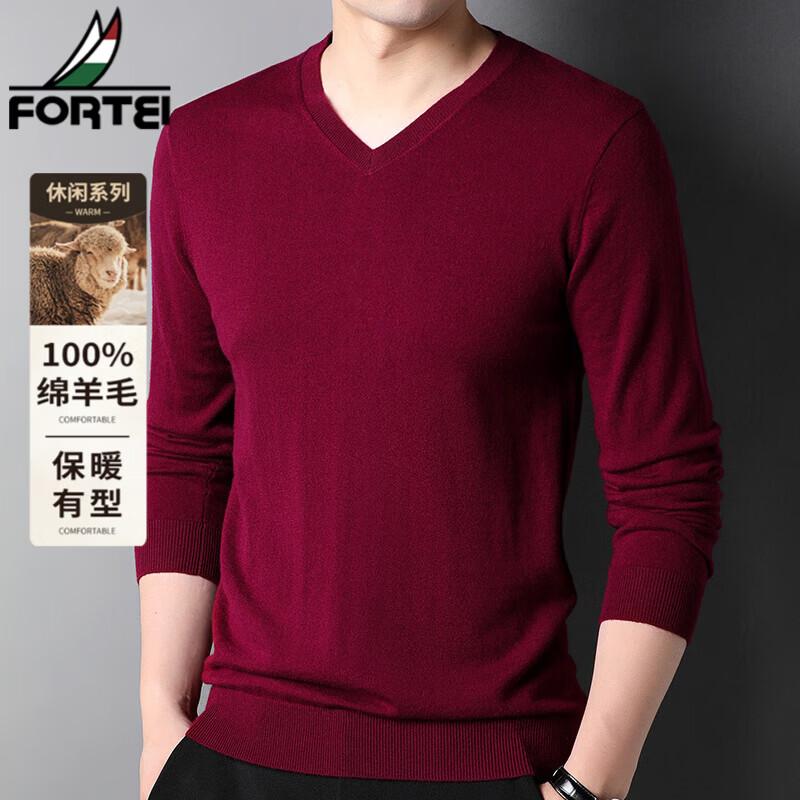 FORTEI Men's 100% Pure Wool V-Neck Pullover Sweater