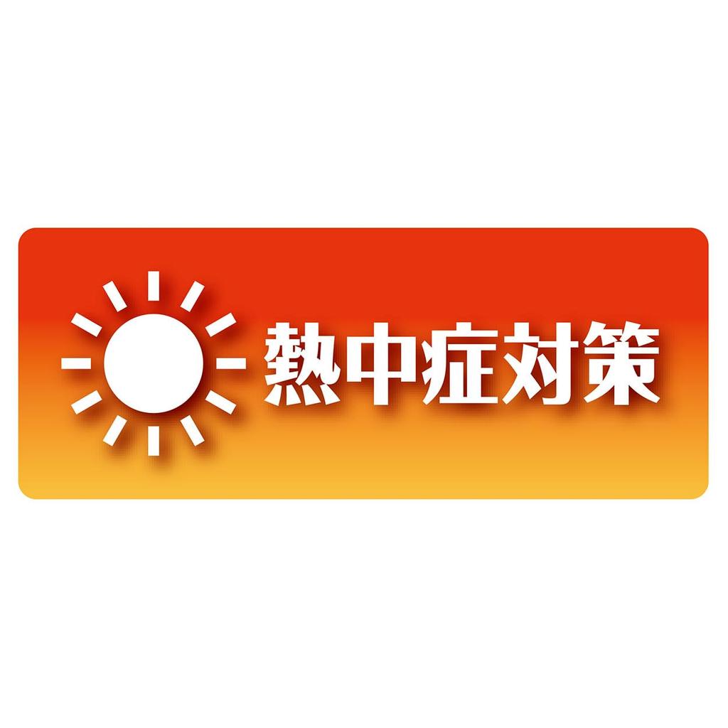 Petio Dog and Cat Antibacterial and Instant Cooling Edge Pillow Medium Bed, Deodorizing, Bed,