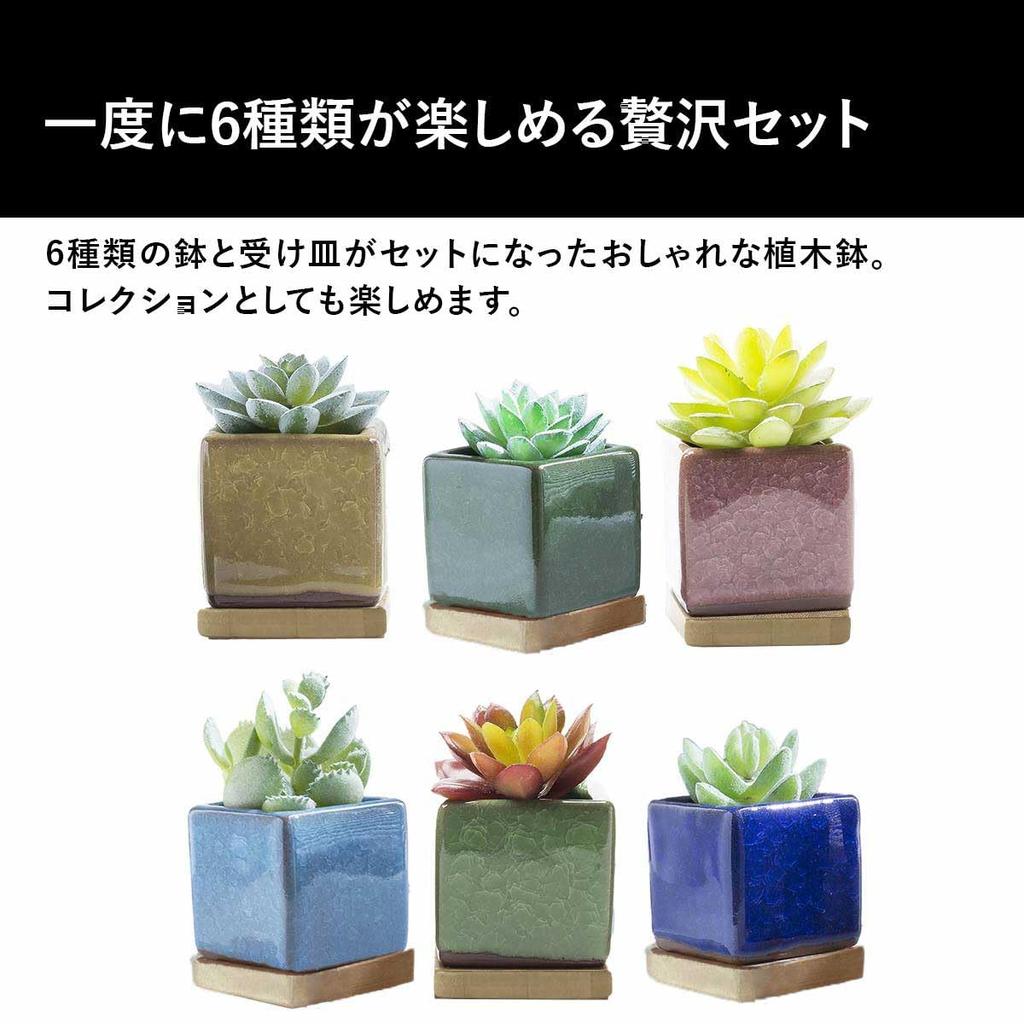 Iikuru Stilig sukkulentplante keramikkpotter for stueplanter sett,