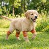 Anti-dirty Pet Knee Pads Soft Dog Leg Warmer Joint Protection Socks Dog Leg Covers  Front Rear Legs