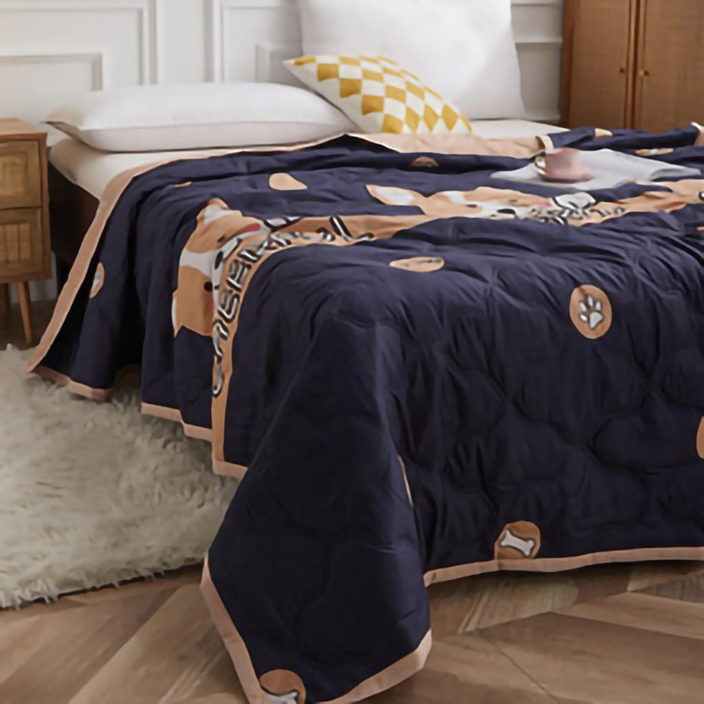 Summer Air Conditioner Quilt Machine Washable Soft Breathable Portable Air Conditioner Blanket Summer Comforter
