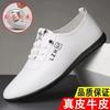 Leather shoes men's shoes casual foot cover soft sole non-slip business casual shoes