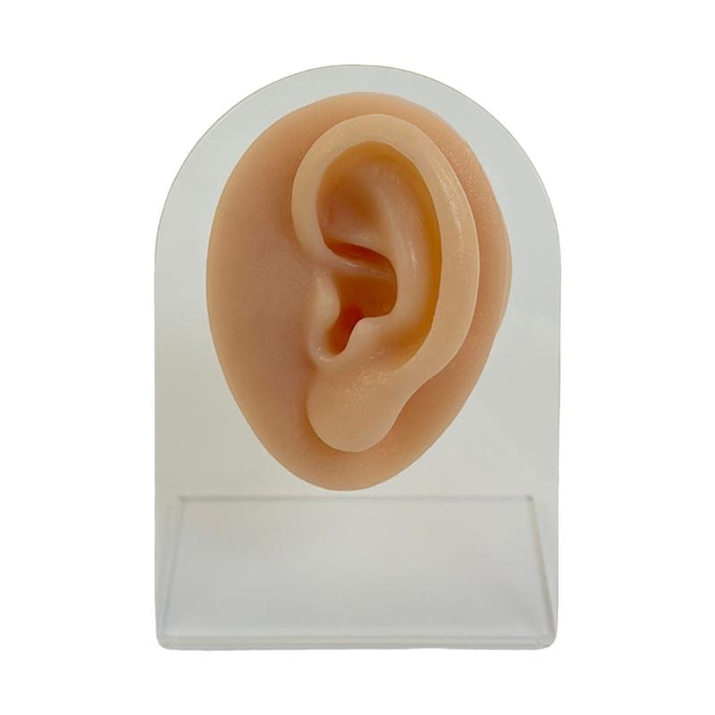 Professional Silicone Body Facials Piercing Trainer With Realistic Skin Texture For Dental Education And Aesthetic Labs