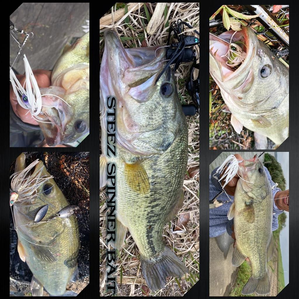 Daiwa Spinnerbait Buzzbait Steez Spinnerbait DW Blue Shad 1/2oz