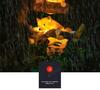 LED Resin Simulated Turtle, Raccoon, Toucan, and Parrot Outdoor Landscape Animal Lights