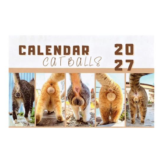Decorative Office Calendar 2027 Wall Calendar, Monthly Planner with Metal Twin-Wire Binding for Professional Supplies Easy Page Turning And
