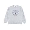 Sweatshirts Men's Light Gray Crew Neck Moderate AMT54318-GHM