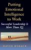The Putting Emotional Intelligence To Work Book