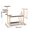 Pet Bird Cage Funfair Stand Swing Parrots Swing Gym Toy Funfair Training