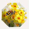 Yellow Flower Bouquet with Bee Watercolor Wall Art Print Umbrella, Christmas Gift Y85