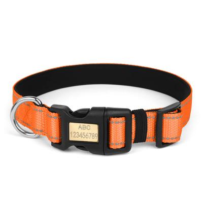 Hunde – Hundehalsbänder & Leinen