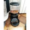 5.5L Big Capacity Automatic Pet Feeder Food Dispenser with Recording Function